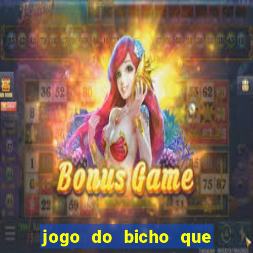 jogo do bicho que paga no pix